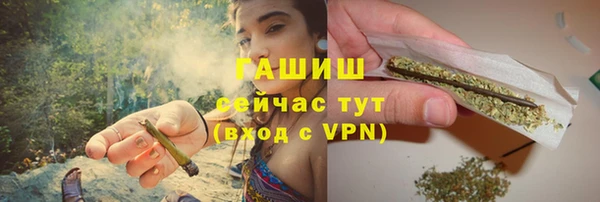 сатива Волоколамск