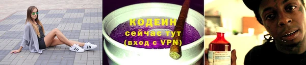 сатива Волоколамск