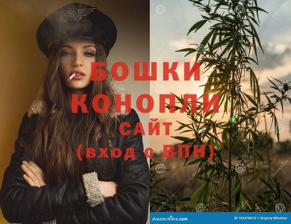 сатива Волоколамск