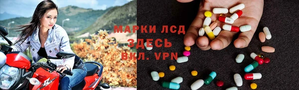 сатива Волоколамск